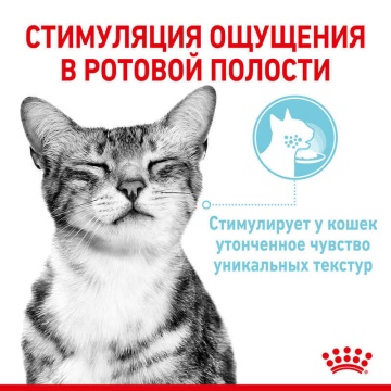 Royal Canin Sensory Feel в соусе для кошек