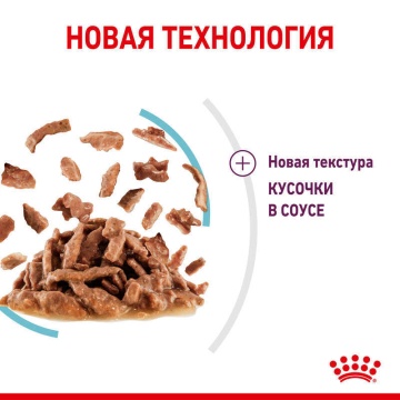 Royal Canin Sensory Feel в соусе для кошек