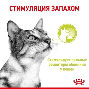 Royal Canin Sensory Smell в желе для кошек