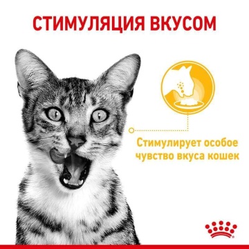 Royal Canin Sensory Taste в желе для кошек