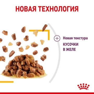 Royal Canin Sensory Taste в желе для кошек