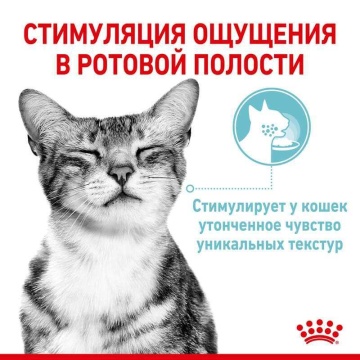 Royal Canin Sensory Feel в желе для кошек