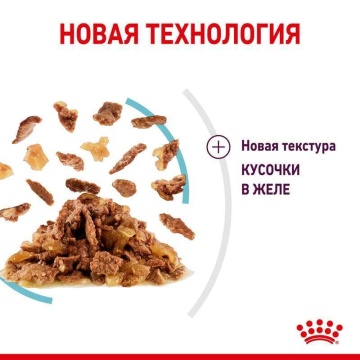 Royal Canin Sensory Feel в желе для кошек