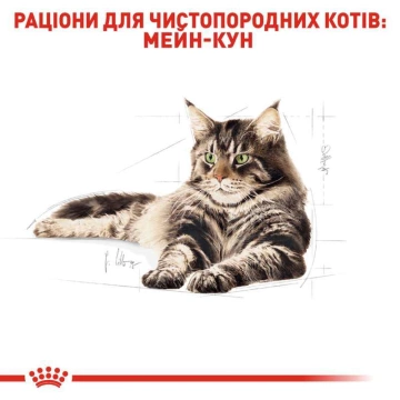 Royal Canin Maine Coon Adult Gravy мейн кун, в соусі