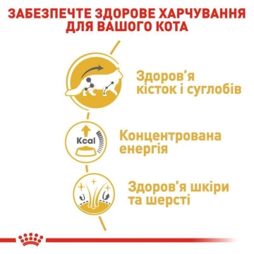 Royal Canin Maine Coon Adult Gravy мейн кун, в соусі