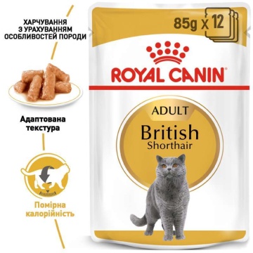 Royal Canin British Shorthair Adult в соусі