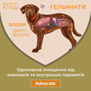 Краплі Bayer Advocate для собак до 4 кг