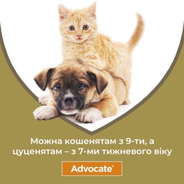 Капли Bayer Advocate для собак до 4 кг