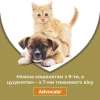 Краплі Bayer Advocate для собак від 25 до 40 кг