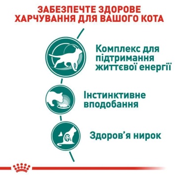 Консервований корм для котів старше 7 років Royal Canin Instinctive 7+ Gravy