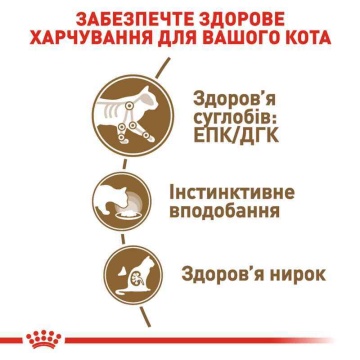 Консервований корм для котів старше 12 років Royal Canin Ageing + 12