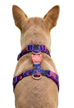 Шлея для собак Zee.Dog & REEBOK COURT