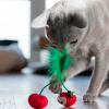 Petstages Dental Cherries Іграшка "Вишні" для котів