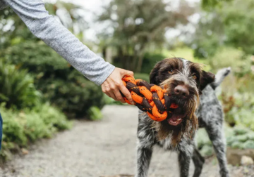 Игрушка для собак Rope Toy Scount & About Honeycomb Pet Play