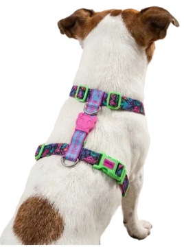 Шлея для собак Zee.Dog & REEBOK AEROBIC