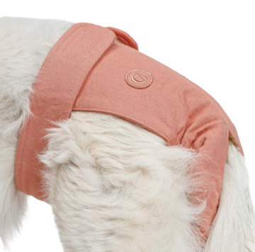 Гигиенические трусы для собак Cloud7 Panties Розовый