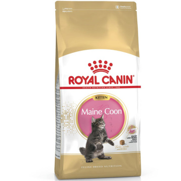 Royal Canin Maine Coon Kitten