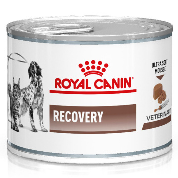 Royal Canin Recovery