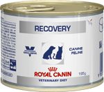 Royal Canin Recovery