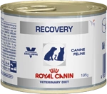 Royal Canin Recovery