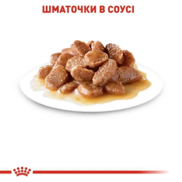 Влажный корм для стерилизованных котов Royal Canin Sterilised Gravy Pouches