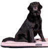 Матрас Ортопедический - Охлаждающий Paikka Cooling Orthopedic Mattress Grey для собак 