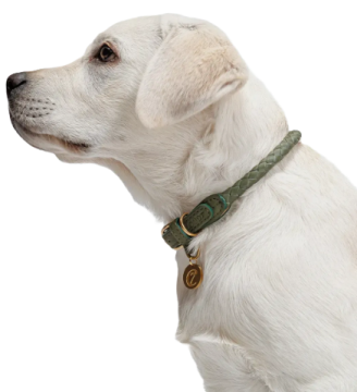 Нашийник для собак Cloud7 Ravello Зелений