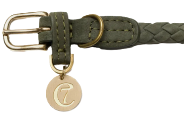 Нашийник для собак Cloud7 Ravello Зелений