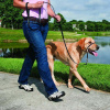 Premier Easy Walk Тренировочный ошейник для собак