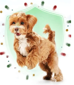 Влажные салфетки для собак MY TURF 100% Bio-degradable Bamboo Fiber Pet Wipes