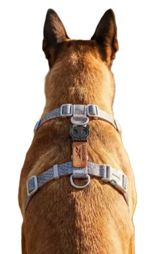 Шлея для собак Zee.Dog & REEBOK SUEDE