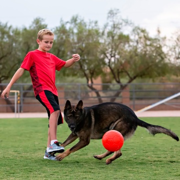 Jolly Pets Jolly Soccer Ball Мяч для собак, 20 см