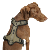Y-подібна шлейка для собак Cloud7 Y-3 Harness AKTIV Оливковий