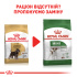 Royal Canin Miniature Schnauzer Adult