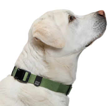 Повсякденний нашийник для собак Cloud7 Rescue Basic Зелений