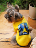 Толстовка Pet Fashion "Вiльна" для собак, жовта