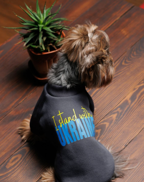 Толстовка Pet Fashion "I stand with" для собак, серая