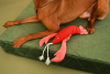 Мягкая игрушка из ткани Лобстер Себастьян для собак HARLEY&CHO