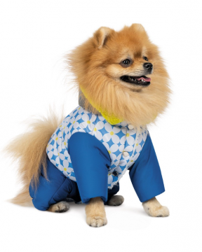 Костюм Pet Fashion Tender для девочек