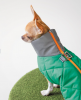 Жилет Pet Fashion Luka для собак