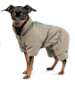 Комбінезон Pet Fashion Ego для собак