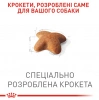 Royal Canin Beagle Adult для породи бігль
