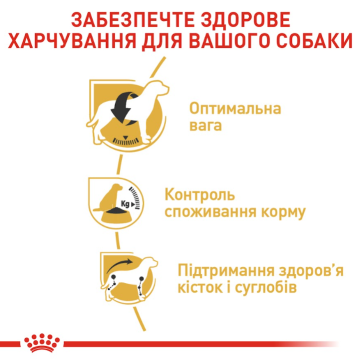 Royal Canin Beagle Adult для породы бигль