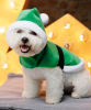 Попона Pet Fashion "Santa" для собак