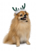 Аксесуар-ріжки Pet Fashion "Deer" для собак