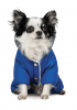 Костюм Pet Fashion Zhan для собак