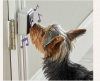 Дверной звонок для собак Hunger for Words - Talking Pet Doorbell