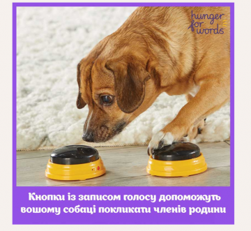 Кнопки с возможностью записи речи Hunger for Words - Talking Pet Next Words Names, 3 шт