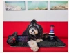 Игрушка для собак P.L.A.Y. x HyperX - Quadcast Pet Play
