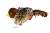 GiGwi Melody Chaser игрушка птичка со звуковым чипом и кошачьей мятой
